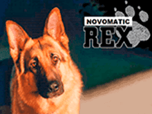 Rex от Novomatic слот с простыми правилами